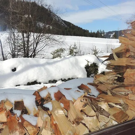 Holiday home Attraktives Ferienhaus Tannhe